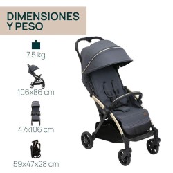 Silla de Paseo Chicco Goody XPlus