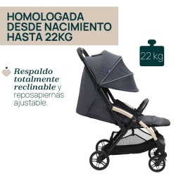 Silla de Paseo Chicco Goody XPlus