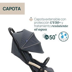 Silla de Paseo Chicco Goody XPlus