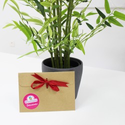 Cheque Regalo MPC200