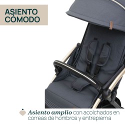 Silla de Paseo Chicco Goody XPlus
