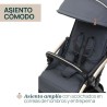 Silla de Paseo Chicco Goody XPlus