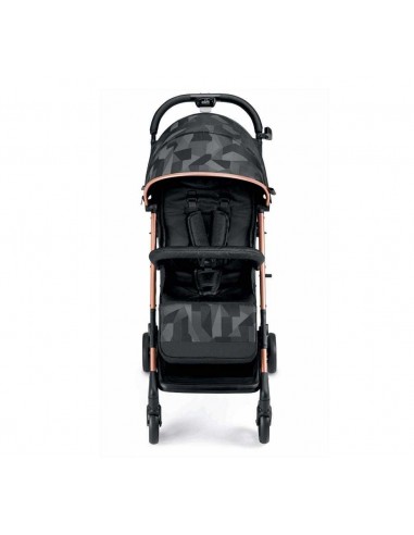 Silla de paseo CAM Compass