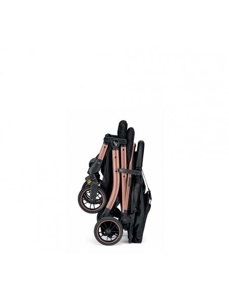 Silla de paseo CAM Compass