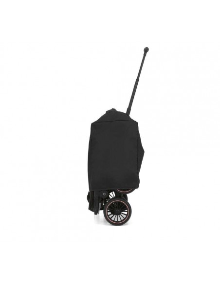 Silla de paseo CAM Compass