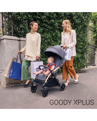Silla de Paseo Chicco Goody XPlus