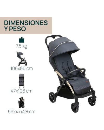 Silla de Paseo Chicco Goody XPlus
