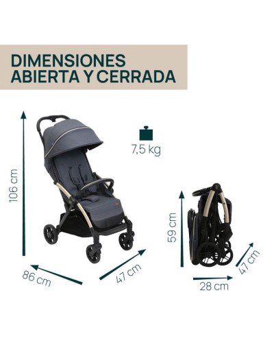 Silla de Paseo Chicco Goody XPlus