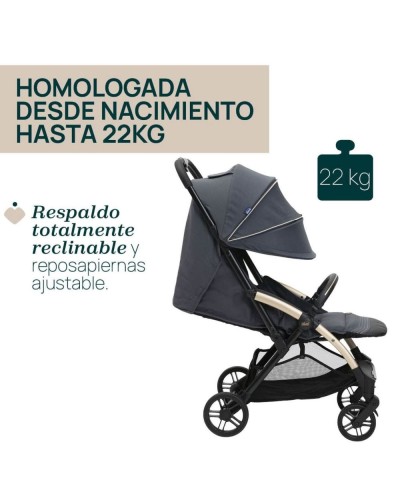 Silla de Paseo Chicco Goody XPlus