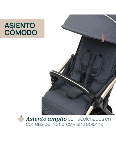 Silla de Paseo Chicco Goody XPlus
