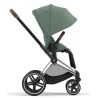Cochecito Dúo Cybex Priam Leaf Green