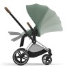 Cochecito Dúo Cybex Priam Leaf Green