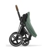 Cochecito Dúo Cybex Priam Leaf Green