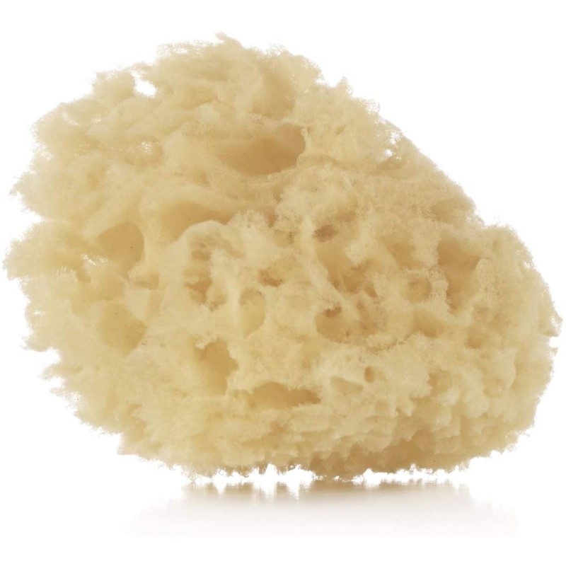 Esponja natural Jané (pack de 2 unidades)